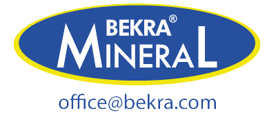 bekra-logo2025mail3